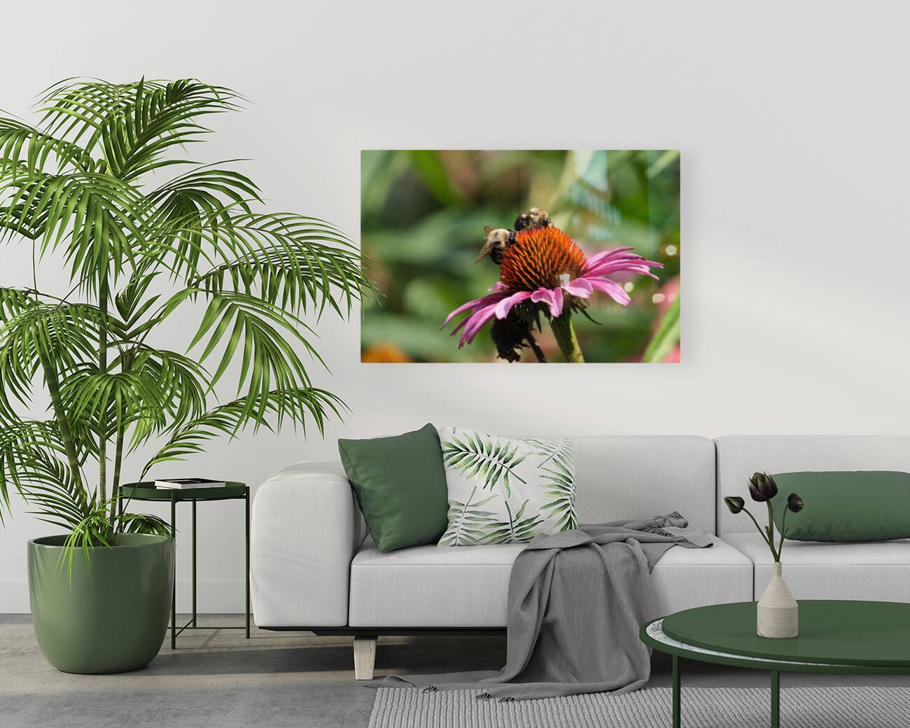 Harmony on a Purple Coneflower Reproduction