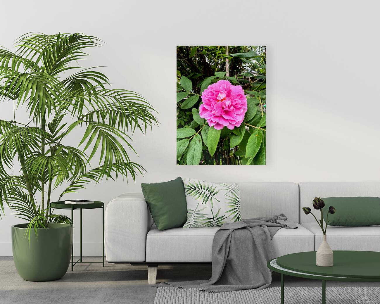 Wild Grace: The Rugosa Bloom Reproduction