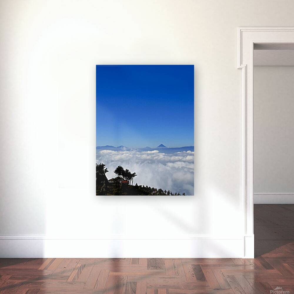 IMG 9130 Reproduction