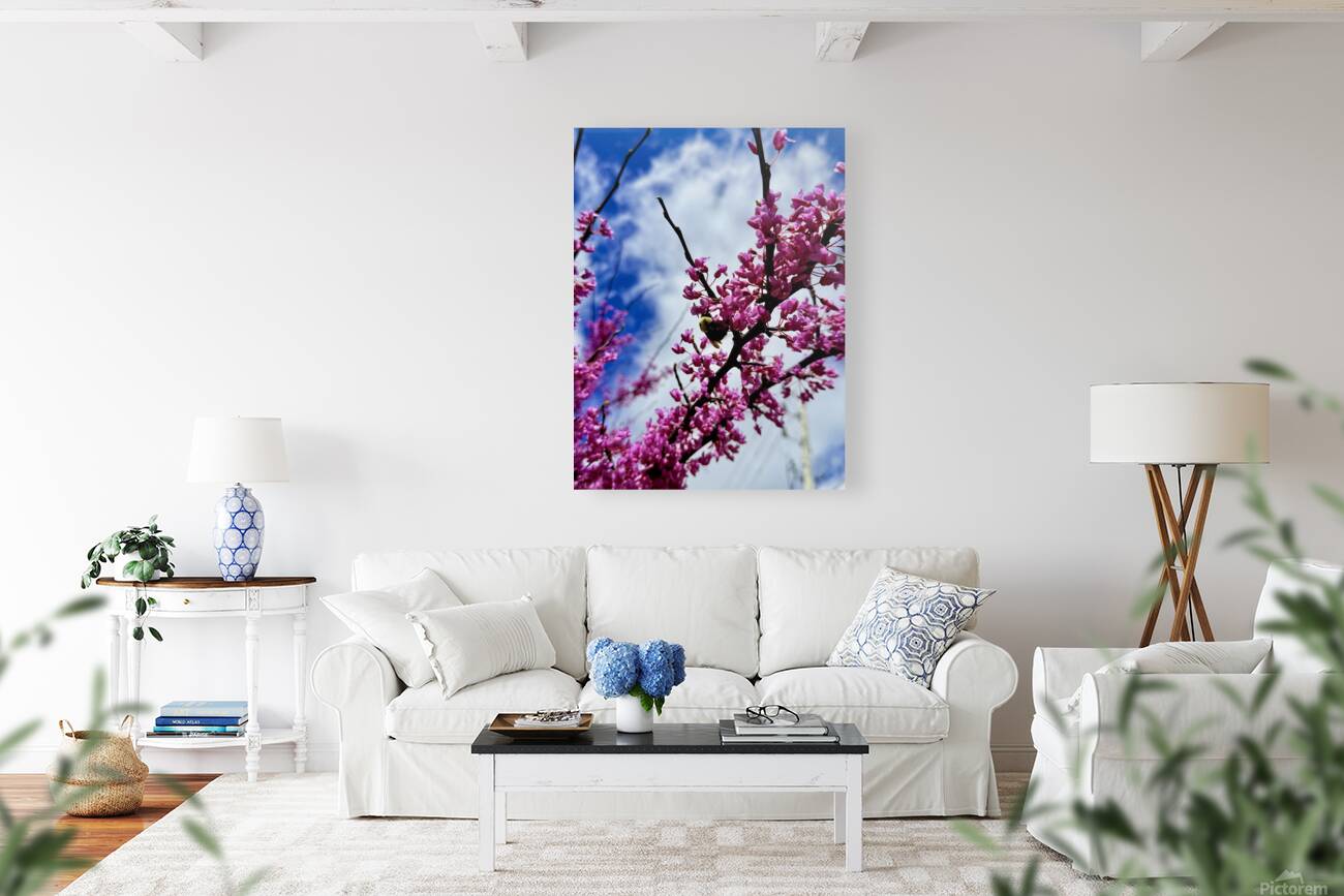 IMG 1550 Reproduction