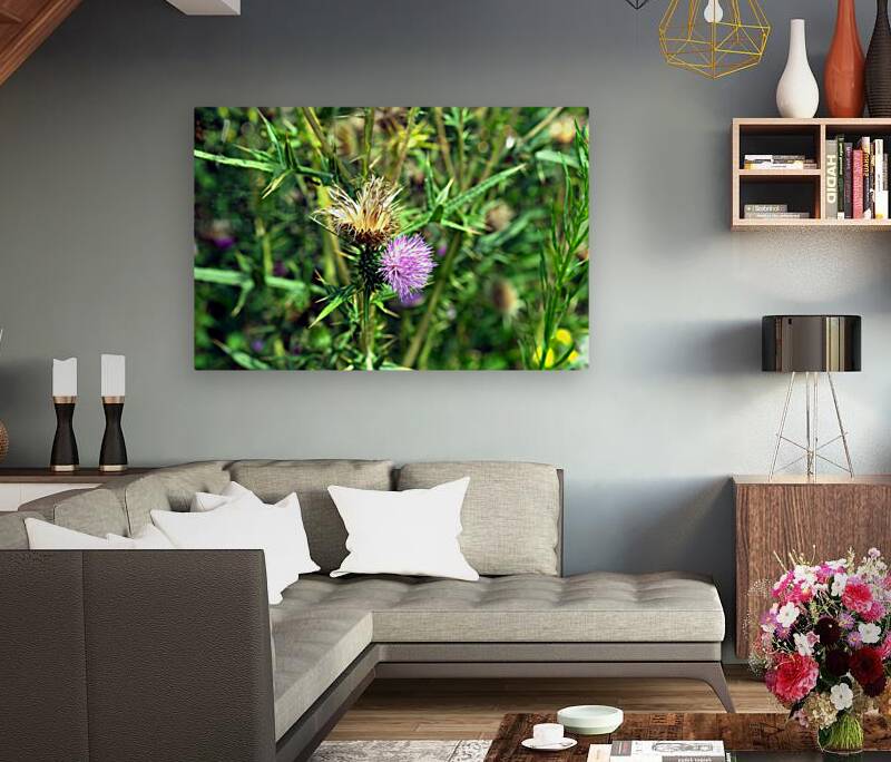 Thistle Be a Good Day Reproduction