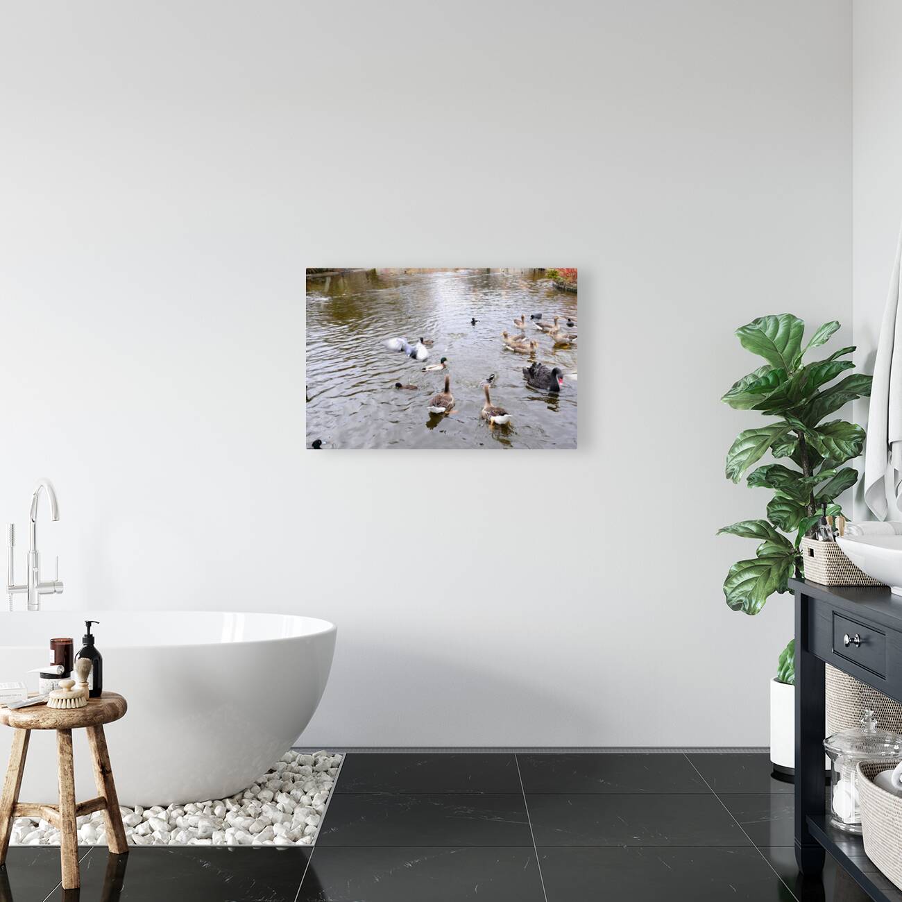 Pigeon Photobomb Reproduction