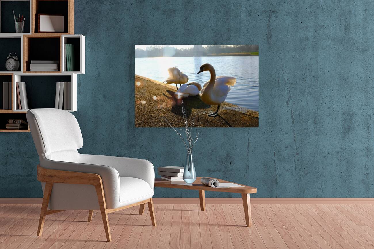 Swan Yoga Morning Stretch 3 Reproduction