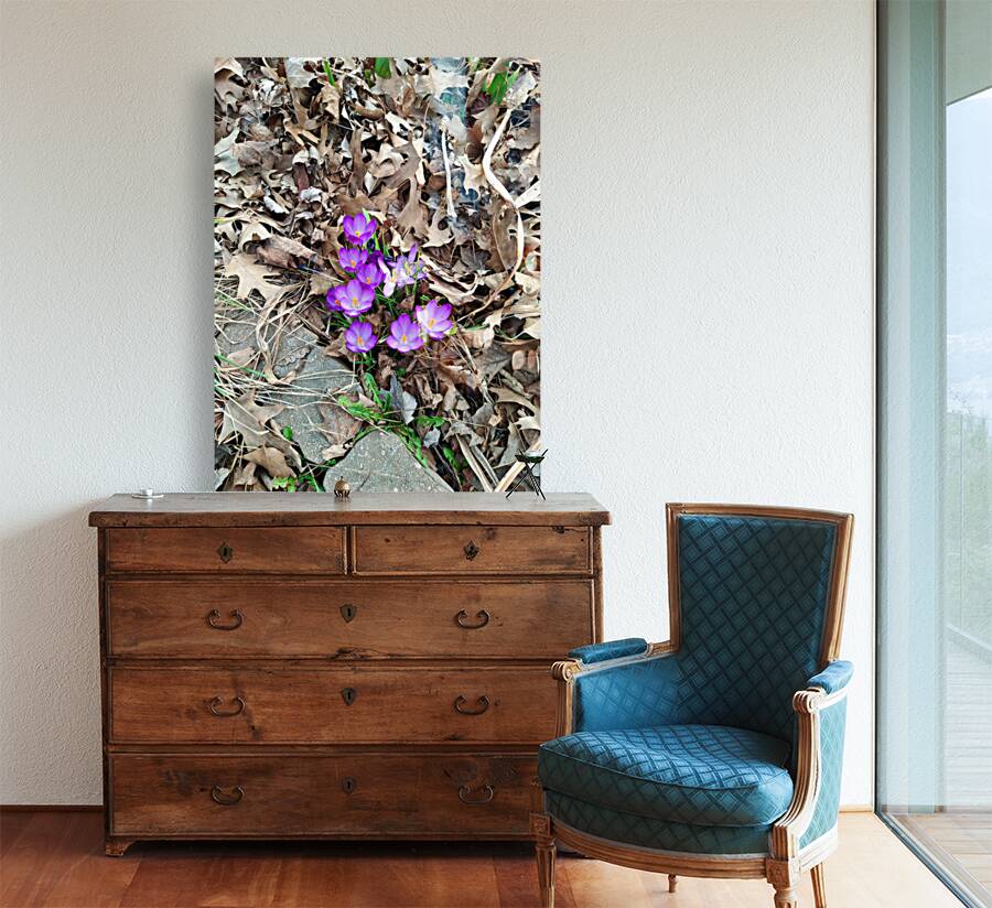 Petals of Renewal Reproduction