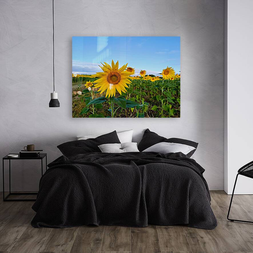 First Light Flower Reproduction