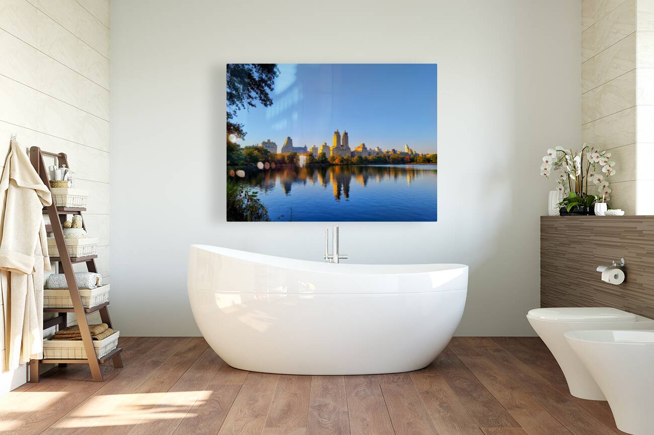 Urban Calm: Central Park View Reproduction