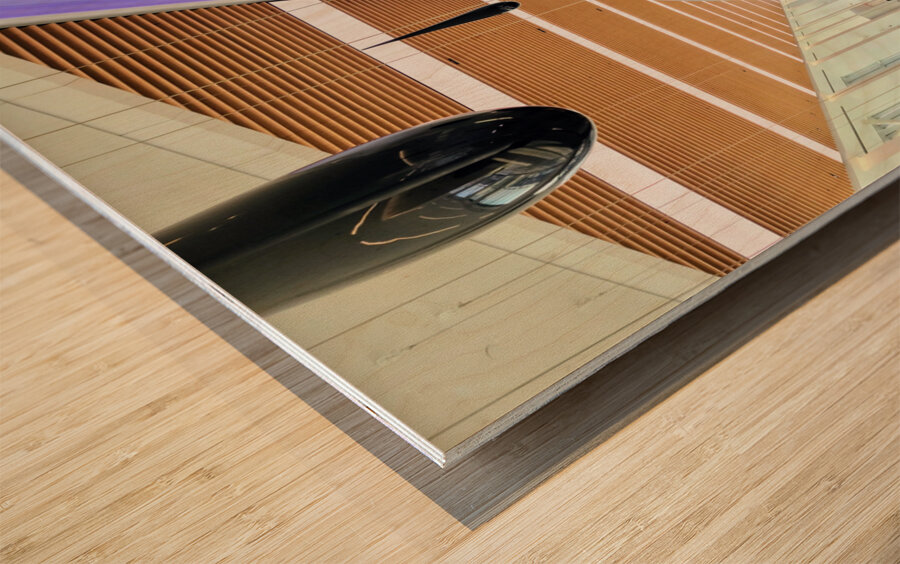 Globe and Droplets Hanging Art  Wood print