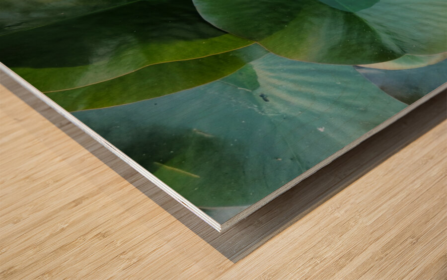 Emerald Cradle of Calm Wood print