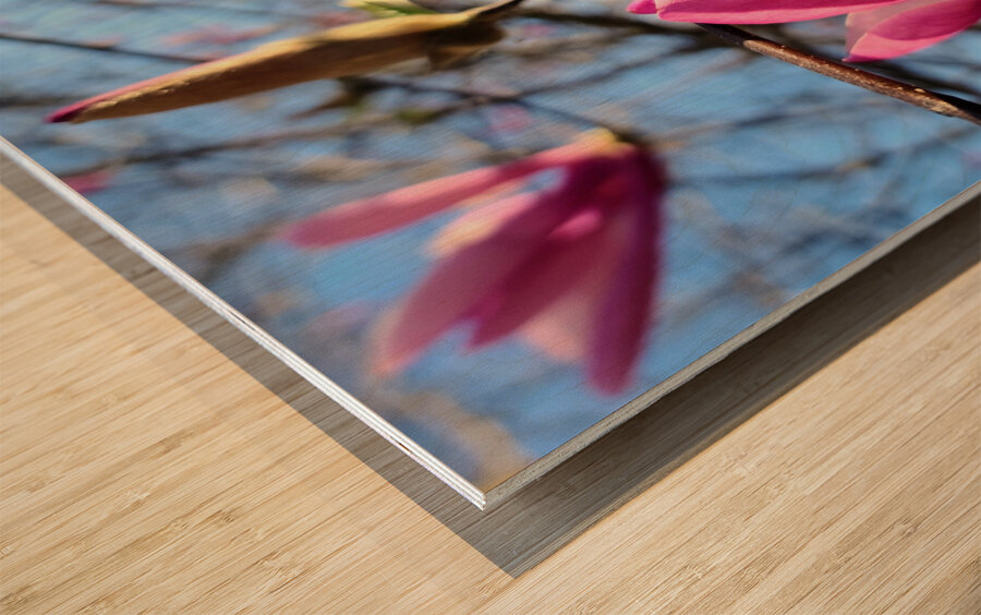 Buds of Hope and the Promise of Spring Wood print