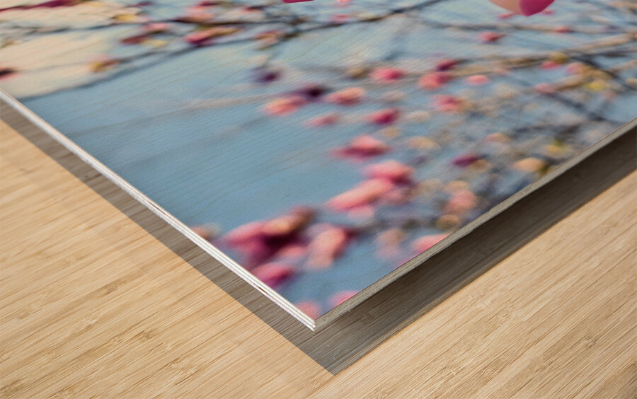 The Quiet Language of Petals Wood print