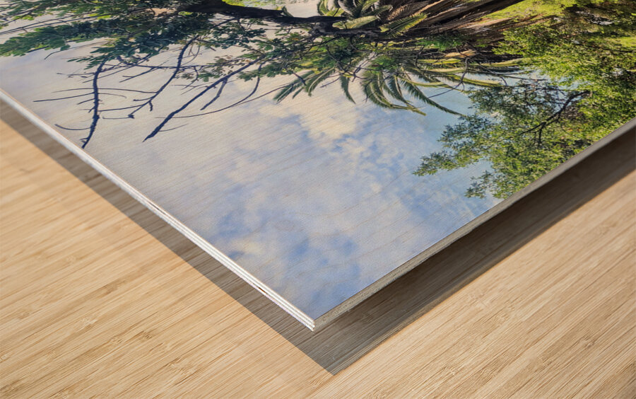 Path to the Palms Wood print