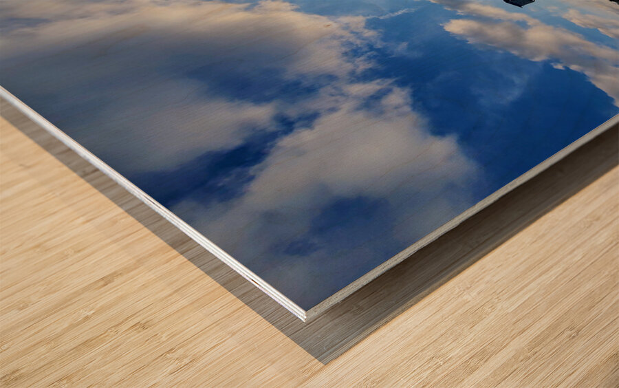 Where Light Finds the Silence Wood print