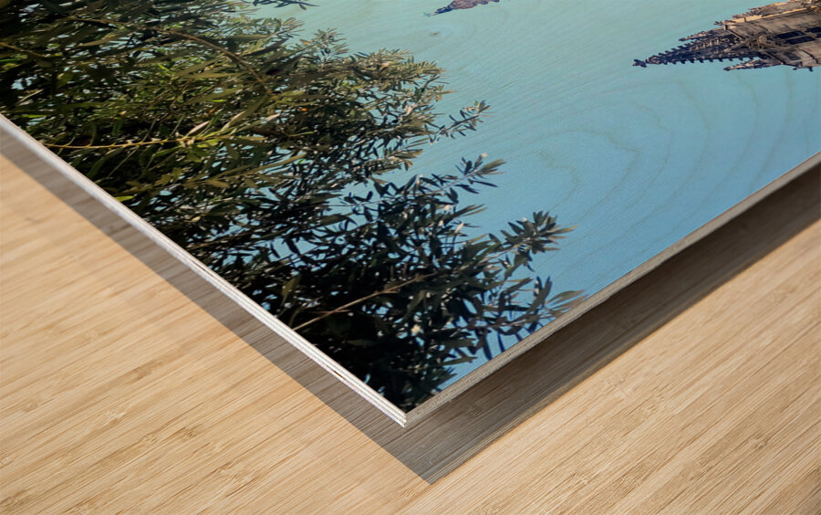 Gothic Roots Olive Crowns: The Cathedral at an Angle of Awe Wood print