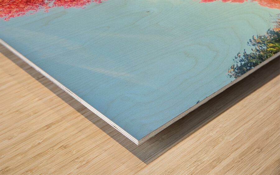 Fall Over the Fence Wood print