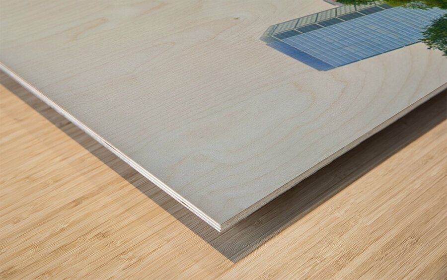 Skyscraper in the Mist Wood print