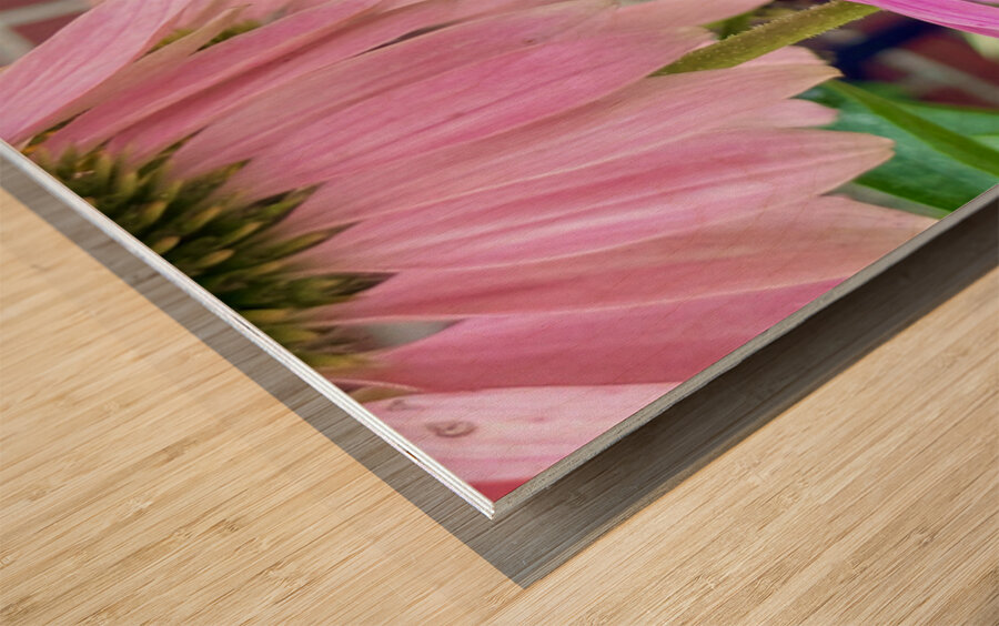 Floral Landing Wood print