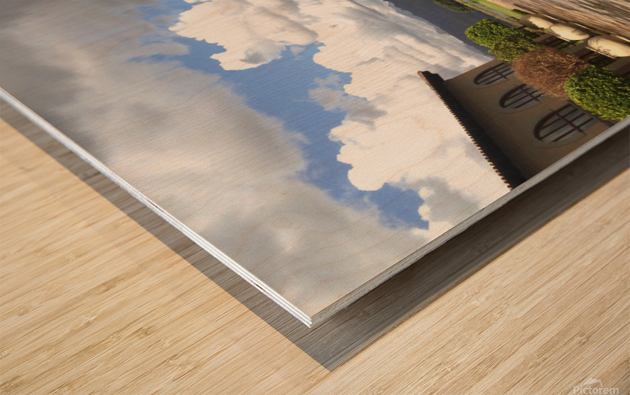 Out of Africa 1 Wood print