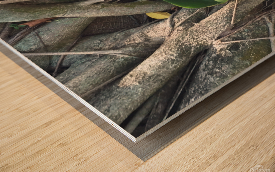 Natural Orchid 1B Wood print