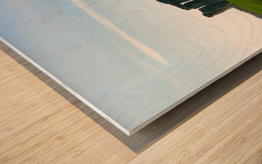 Stone Henge 3 Wood print