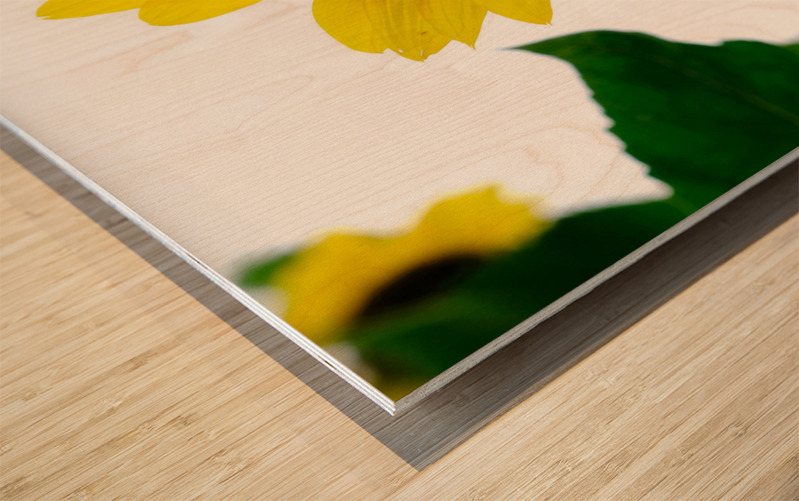 Blooms of Joy 3 Wood print