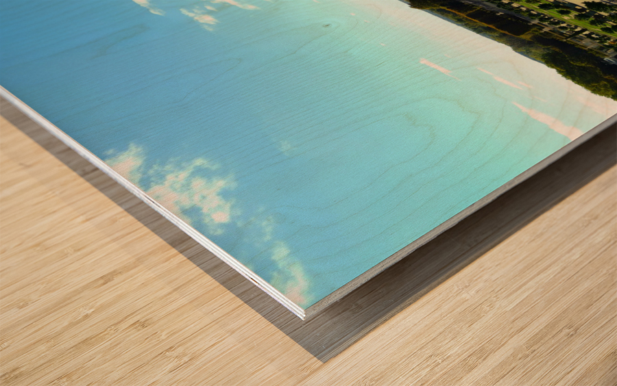 Palace of Versailles -- Gardens 4 Wood print