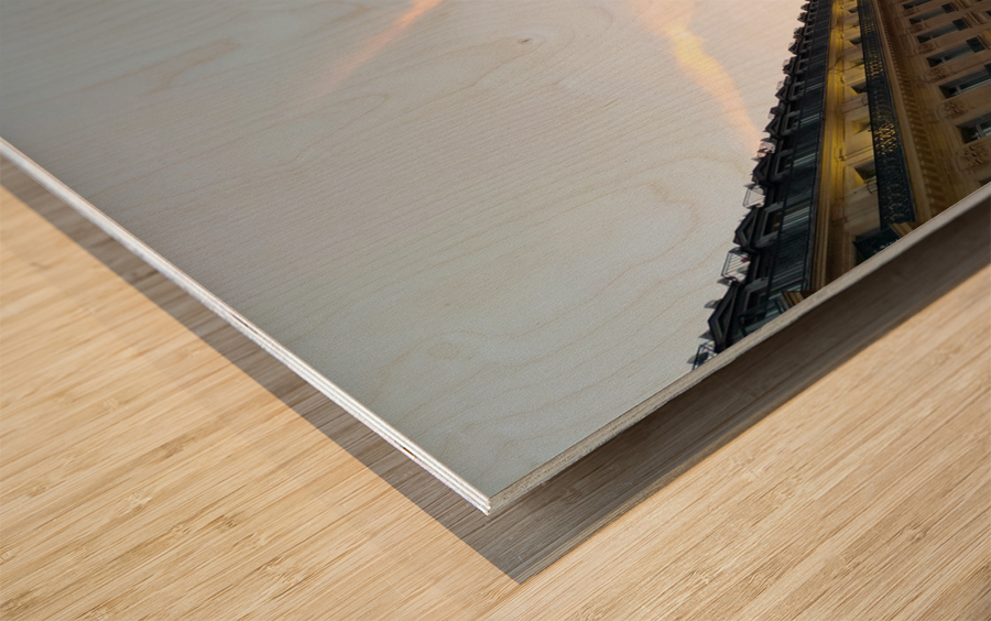 Streets of Paris -- The Palais Garnier Wood print