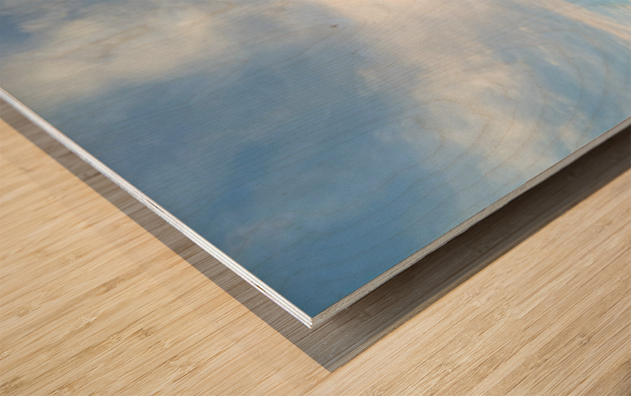 Eiffel Tower 1D Wood print