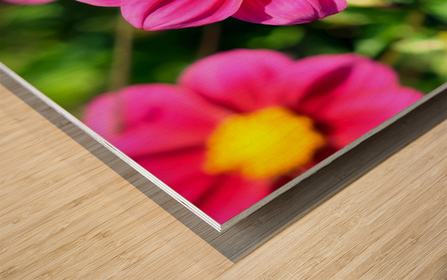 Flower Bloom 7 Wood print