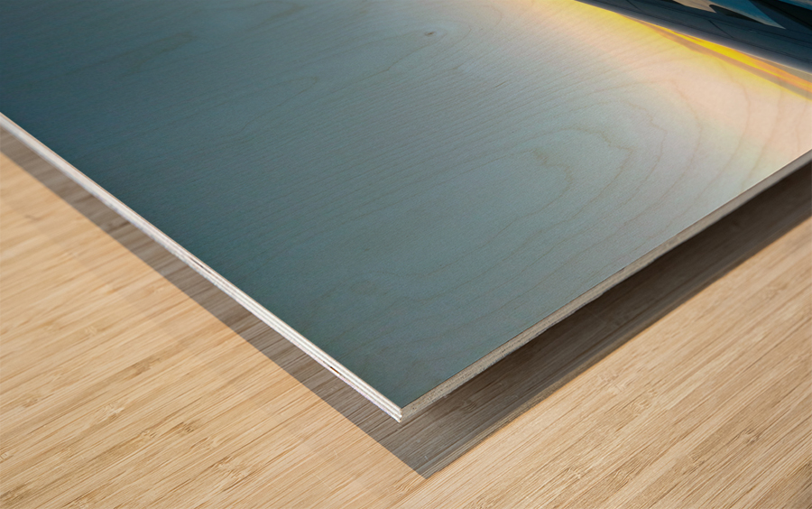 Got Spirit Wood print