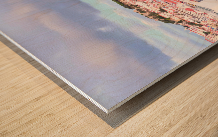 Lisbon Landscape Wood print