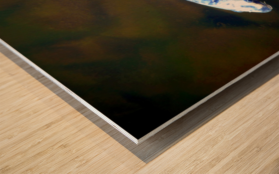 An American Koi Story Wood print