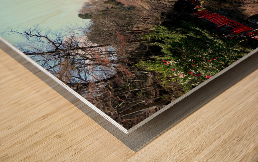 Water Under the Japanese Bridge 2 Wood print