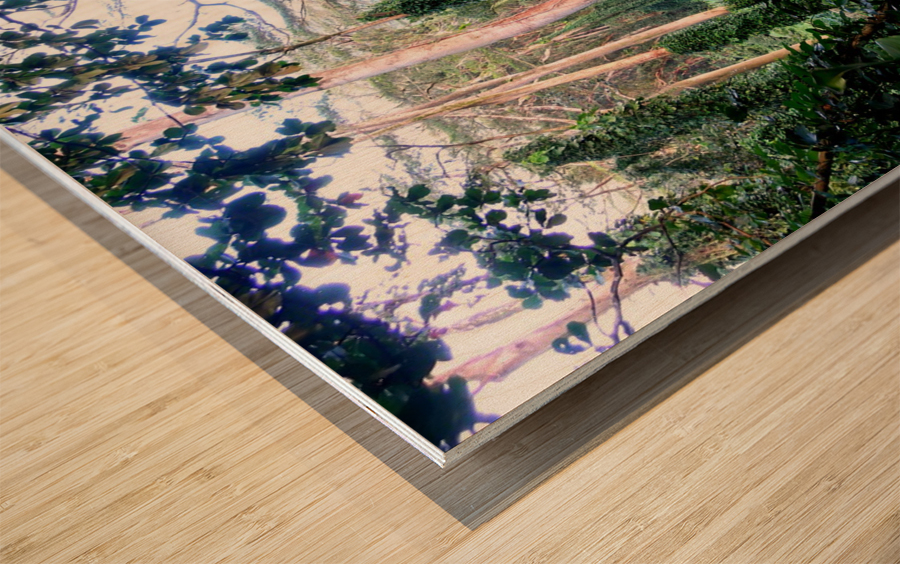 Welcome to Jurassic Park Wood print