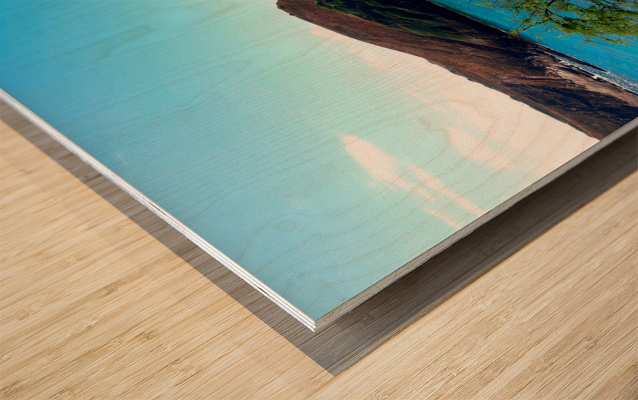 Paradise Found 2 Wood print