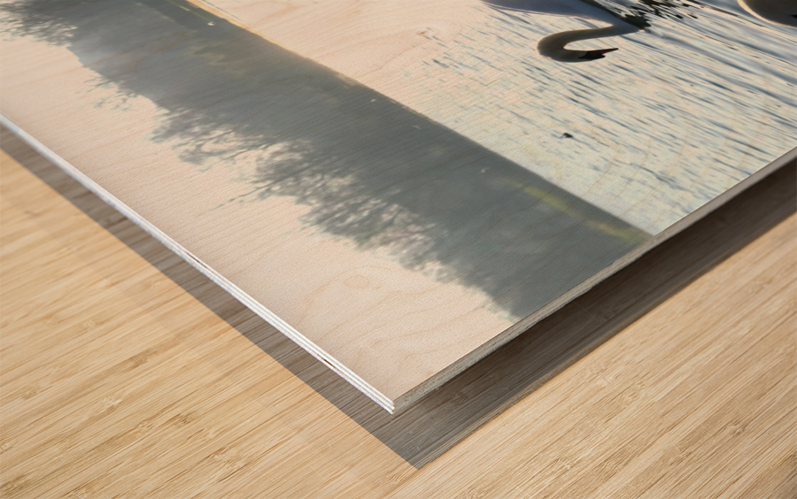 Wings of Love Pair 1B Wood print