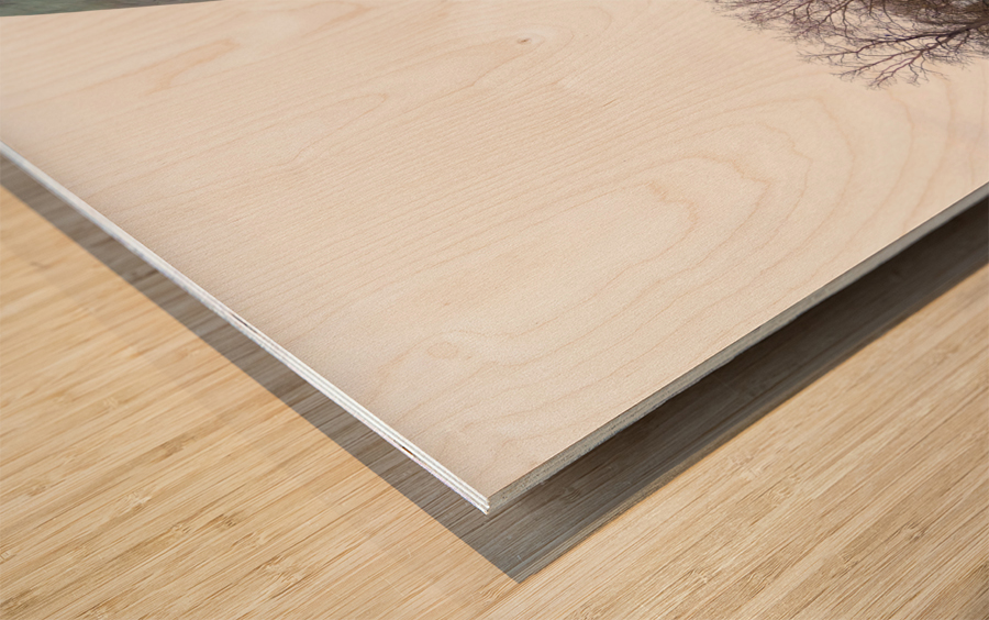 Horsehead Sculpture Wood print