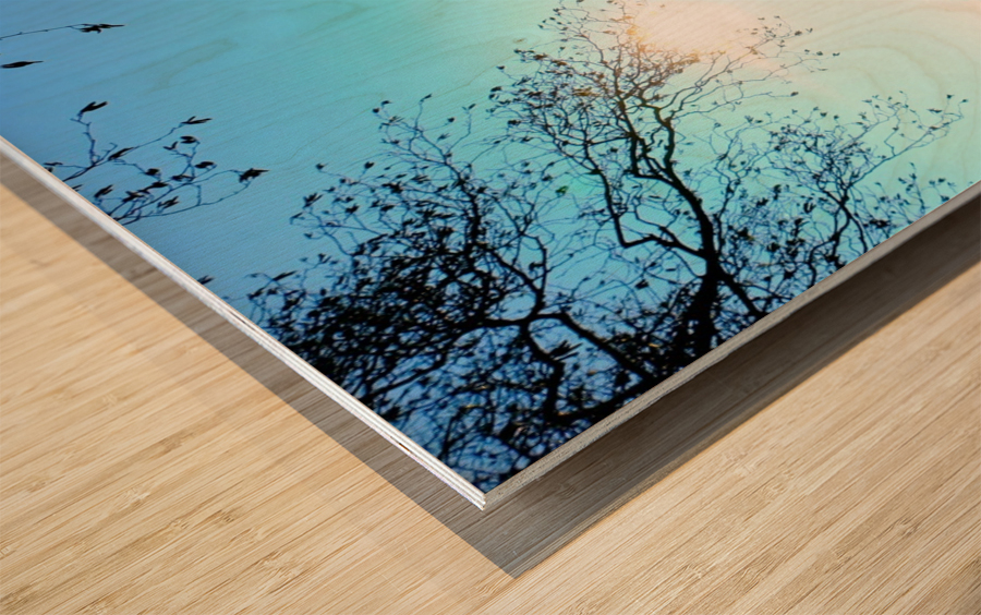 Swan Yoga Morning Stretch Wood print