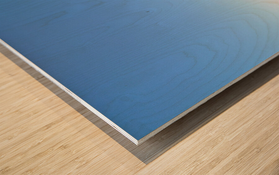 Urban Oasis Wood print