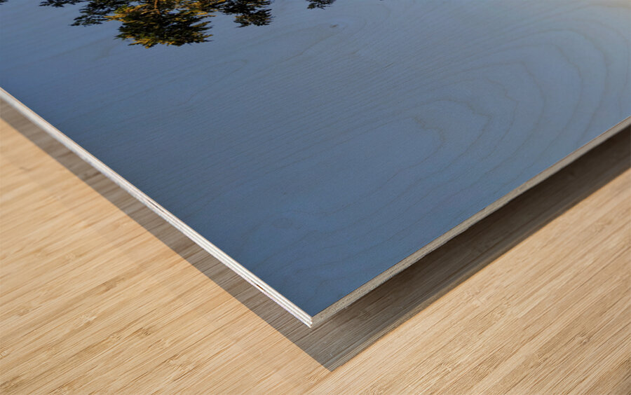 Framed Reflections – Central Park Wood print