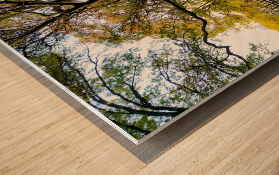 The Quiet Barrel Wood print