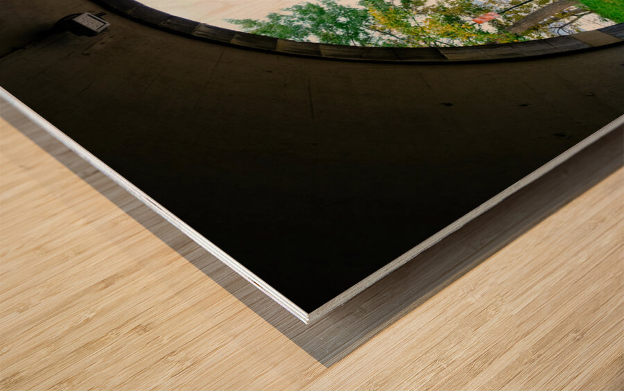 Tranquil Passage Wood print