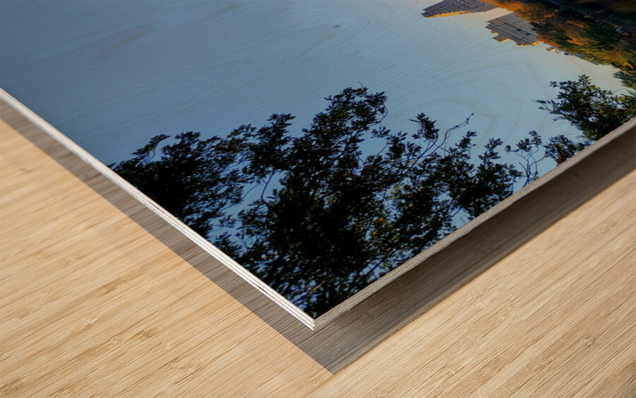 Urban Calm: Central Park View Wood print