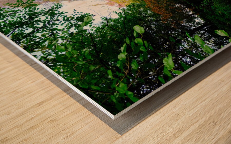 Autumn Stroll Wood print